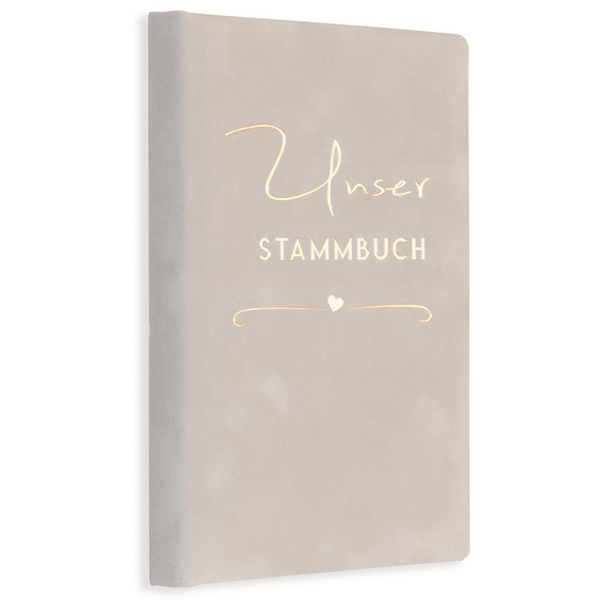 Stammbuch Rina, Grau Ringmechanik, klass box