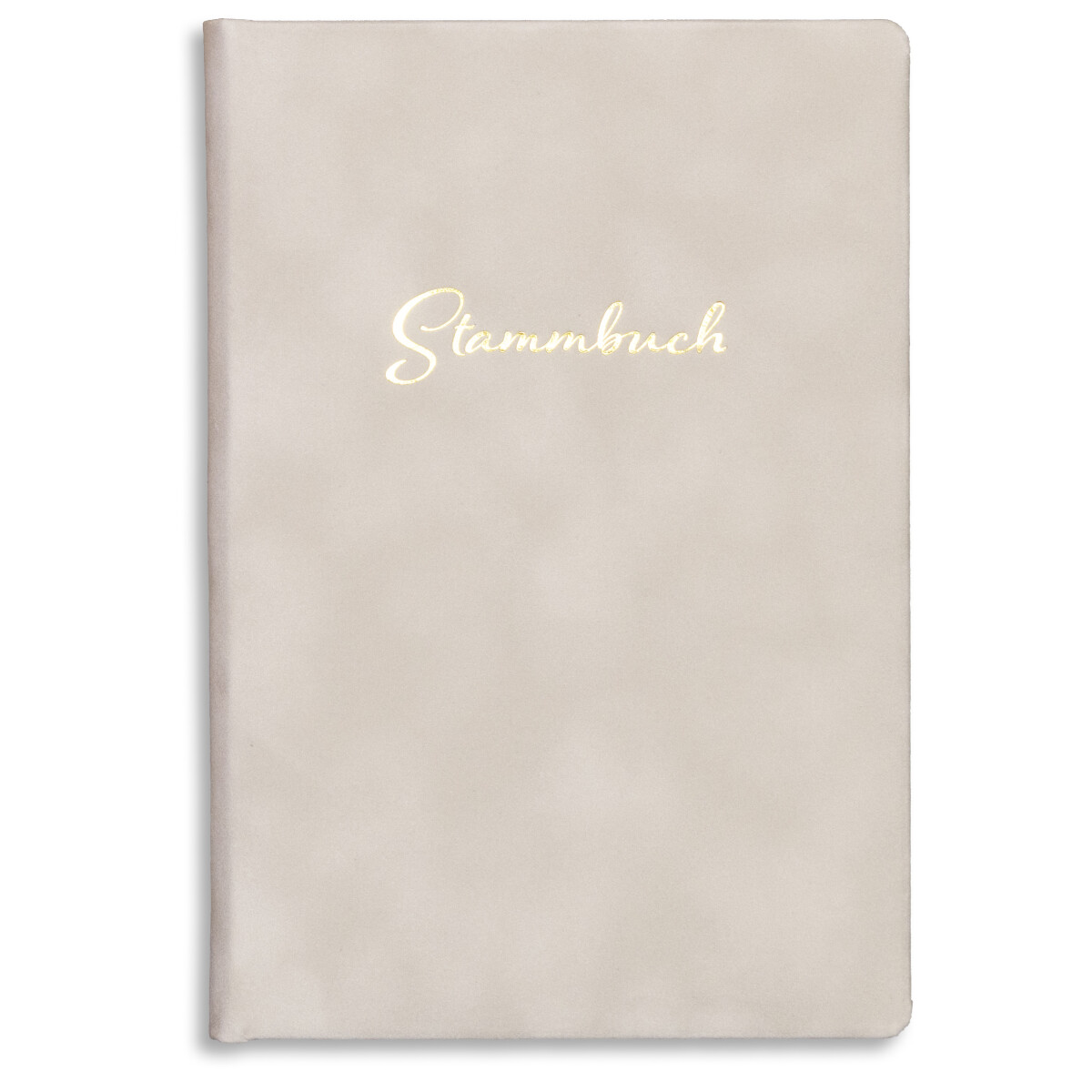 Stammbuch der Familie tbaXXX Hellgrau WR-Schrift Silber